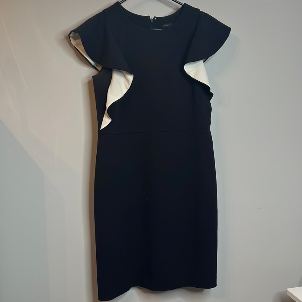 Ann Taylor Ruffle Sleeve Sheath Dress